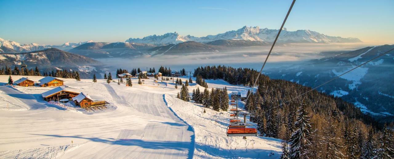 Vergissmeinnicht Flachau